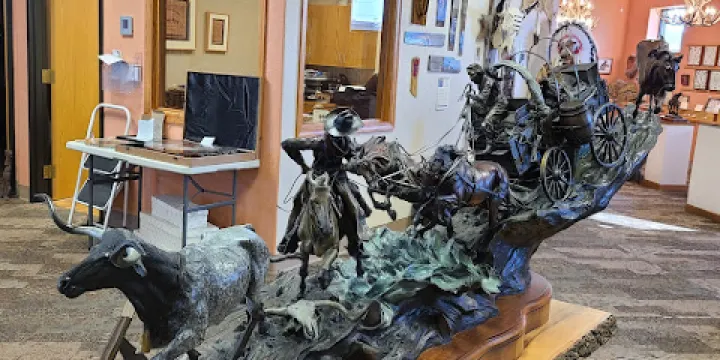 Petrified Wood Gallery