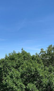 Kathio Observation Tower-米尔湖县