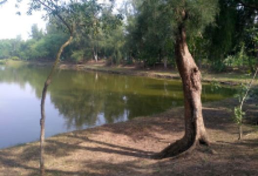 Jharkali Park Entrance景点图片