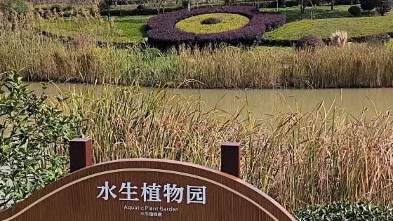 津市毛裏湖植物園