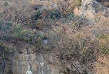 狮身人面石景点图片