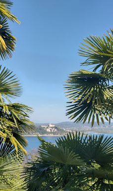 Colossus of San Carlo Borromeo-圣卡洛