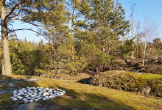 Skalní reliéf Sfinga景点图片