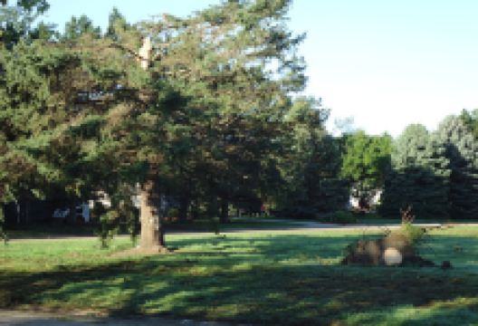 Beermann Park景点图片