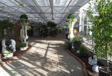 Gartenland Schwedeneck购物图片