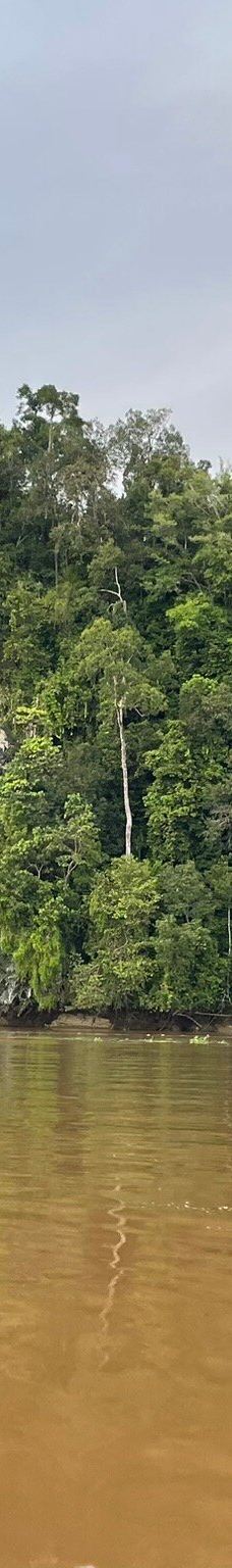 京那巴当岸河-基纳巴唐岸