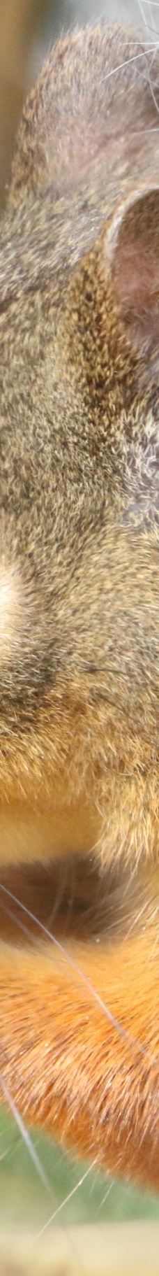 仙台海洋森林水族馆-仙台