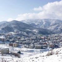 科祖查哈曼图片