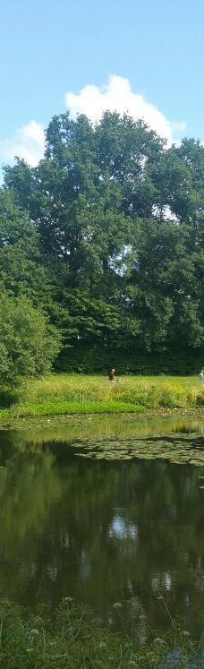 Parc des Gayeulles-雷恩