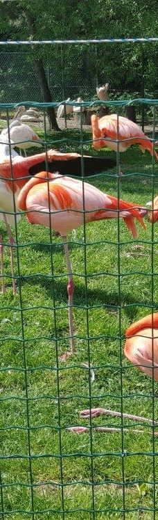 Zoo Kosice-科希策1区