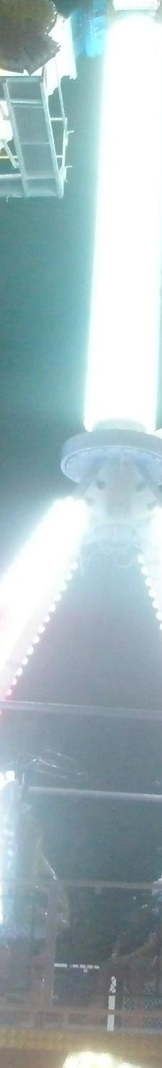 Pirat' Parc-格吕桑