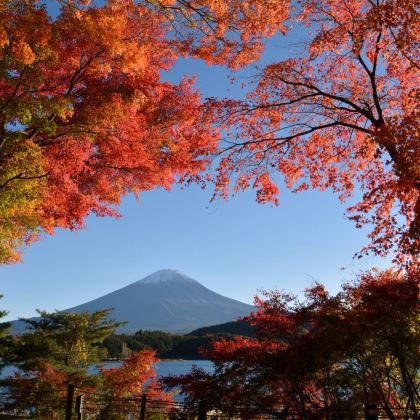 日本东京+京都+大阪6日5晚跟团游