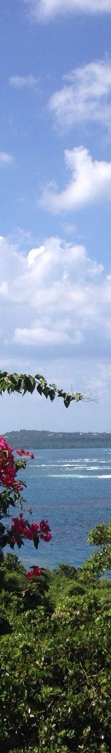 琉宫城蝴蝶园-本部町