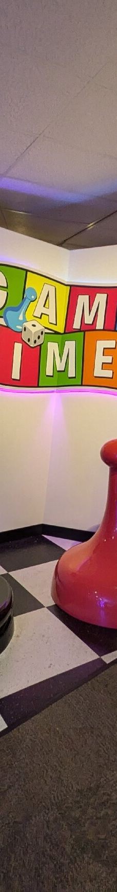 The Strong National Museum of Play-罗切斯特