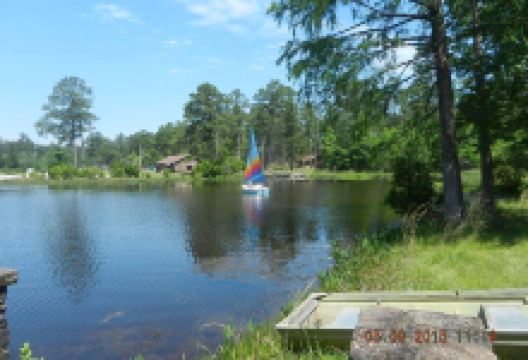 Little River State Forest景点图片