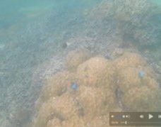 Yonamine Nagahama Beach-今归仁村