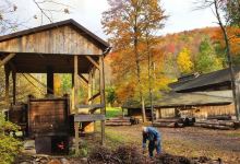 The Pennsylvania Lumber Museum景点图片