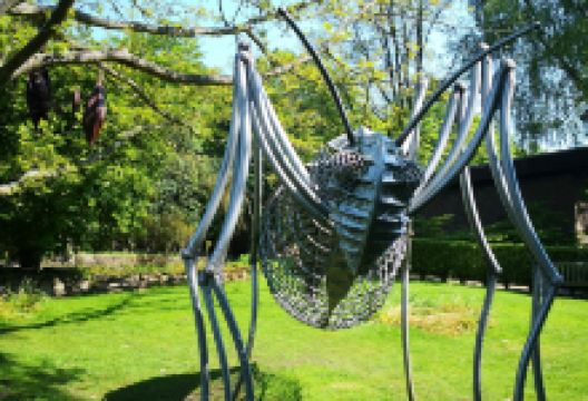 Botanic Garden景点图片