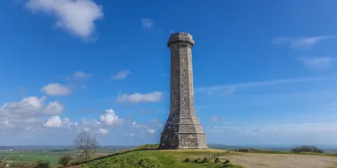 Hardy's Monument
