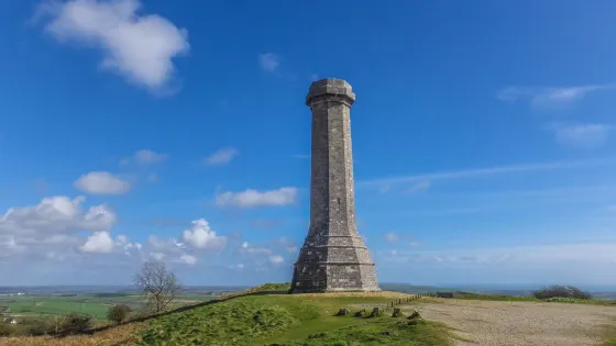 Hardy's Monument