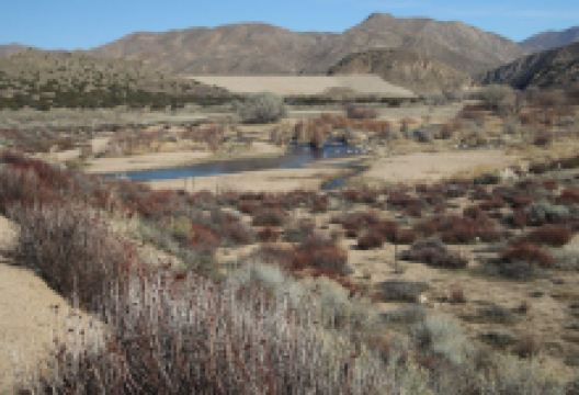 Mojave River Forks Regional Park景点图片