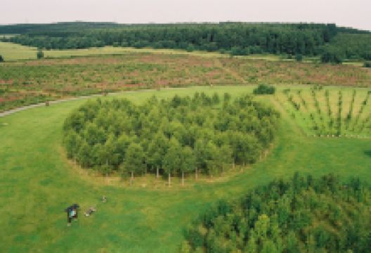 Bois de la Paix景点图片
