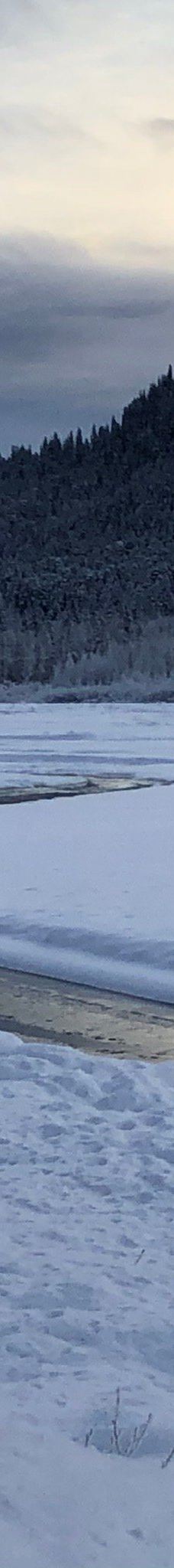 奇尔卡特河-海恩斯自治市镇