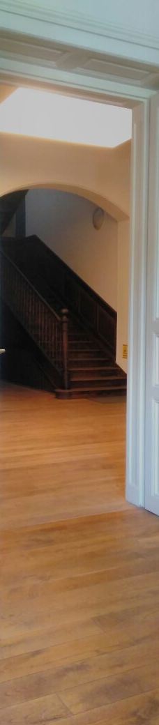 瓦萨里画廊-巴拉顿菲赖德