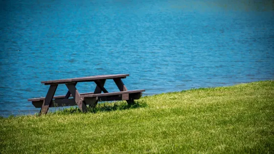 Petros Lake Park