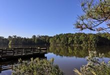 Apex Community Park景点图片