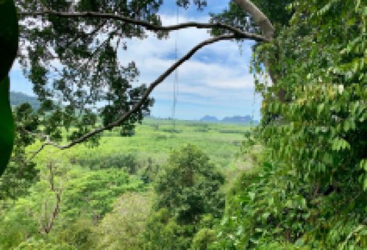 ถ้ำเขาวังทอง景点图片