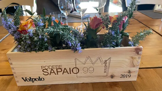 Podere Sapaio