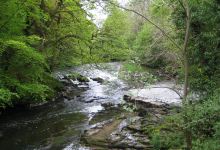 Clare Glen Woodland景点图片