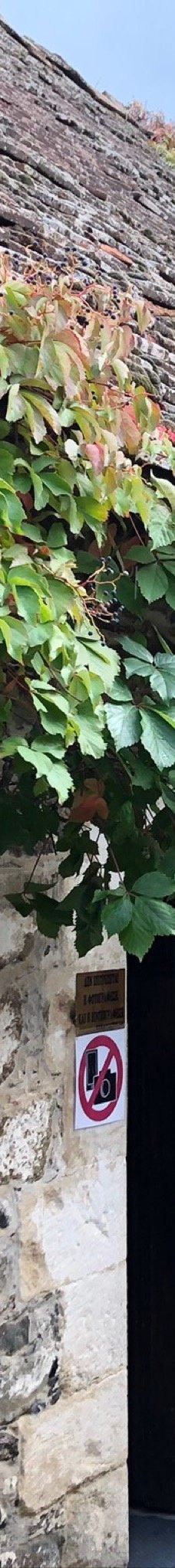 奥林匹斯山-特罗多斯山