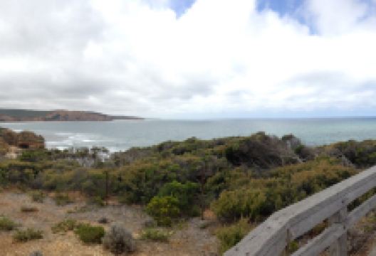 Carisbrook Waterfall景点图片