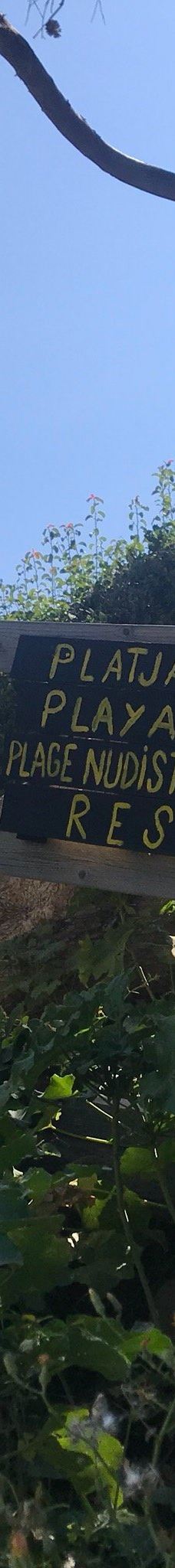 L'illa Roja-巴古尔