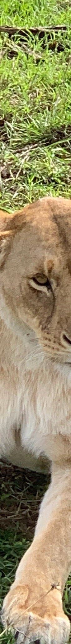 Adventure Africa Expedition-内罗毕