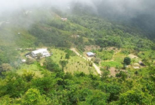 La Vigie Paramin Lookout景点图片