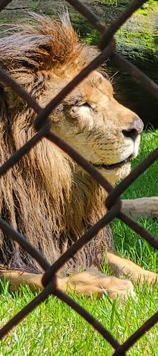 MORELIA ZOO ACUARIUM-莫雷利亚
