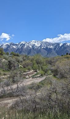 Dimple Dell Regional Park-山迪