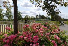 Parc Jean Vancraeyenest景点图片