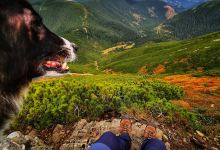 Coada Pietrosului景点图片