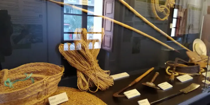 Museo del Palmeral Huerto de San Placido