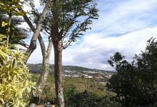 Jungle Ramps景点图片