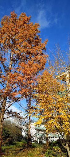 Aulendorf Park-奥伦多夫