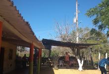 Las margaritas景点图片