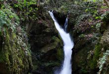 Leshnishki Waterfall景点图片