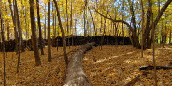 Wolsfeld Woods Scientific and Nature Center