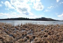 Chippewa Moraine Lakes State Natural Area景点图片