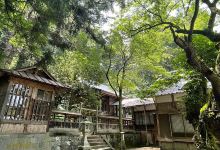 由来八幡宫景点图片